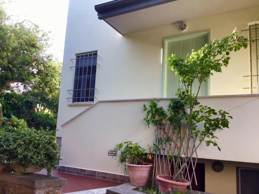 La Coccinella Residence San Vincenzo Eksteriør billede
